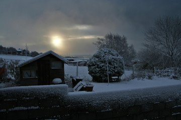 snowy dawn