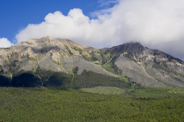 Fototapeta na wymiar panorama w Whiteswan Lake Provincial Park
