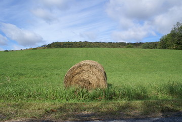 bail of hay