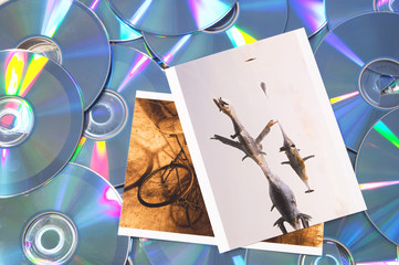 digital photography