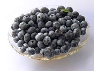 american blackberries