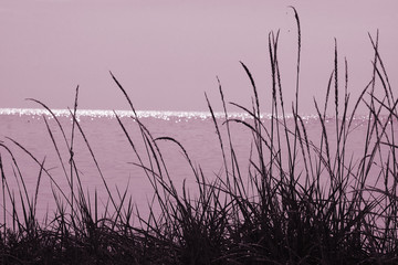 background. pattern of a stone and reflection.