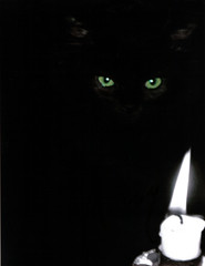 black cat and flame