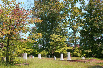 Fototapeta na wymiar forest cemetery