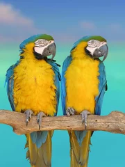 Wandcirkels aluminium twee papegaaien © Eddy Herier Fonclair