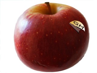 gm apple