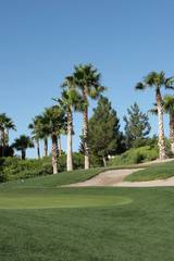 neighborhood golf course