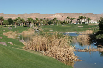 golf course in las vegas © MaxFX