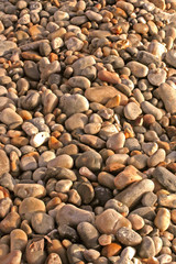 Smooth beach pebbles showing natural coastal texture.