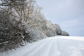 winterlandschaft