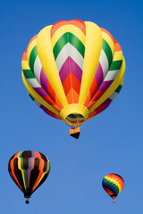 Fototapeta premium flying high