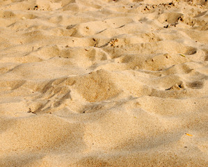 sand texture #8