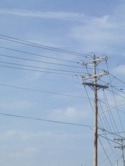 telephone pole
