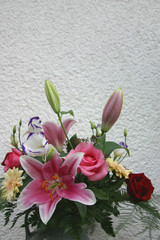 die lilie © Falkenauge