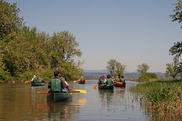 canoers on the water