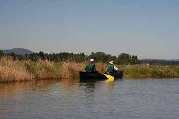 Fototapeta na wymiar couple paddling in canoe