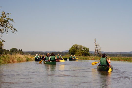 group of canoers
