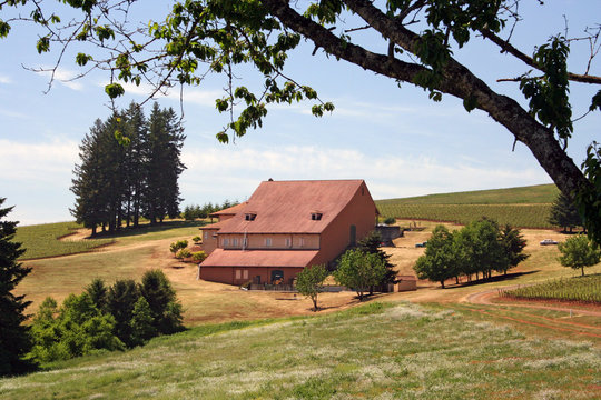 Oregon Winery