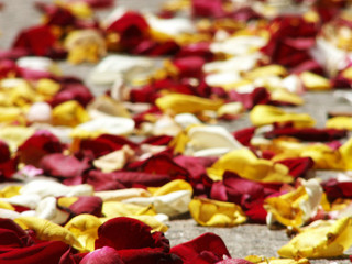 wedding confetti petals background - 1300262