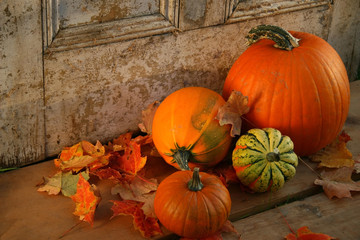 pumpkins and gourds