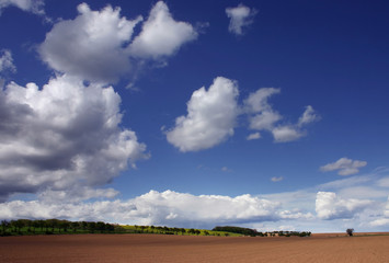 Fototapeta na wymiar spring countryside / blue sky with the white cloud