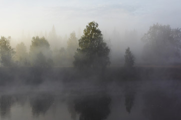 Fototapeta na wymiar morning mist