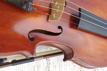 violon - fiddle