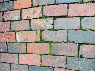 many bricks and moss