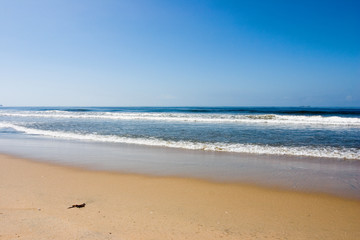 Fototapeta premium seal beach