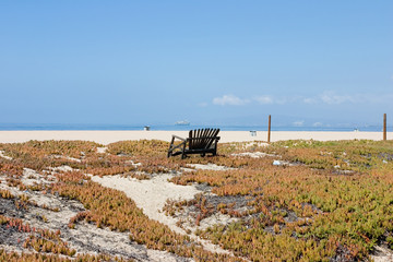 banc sur seal beach