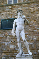 Naklejka premium david