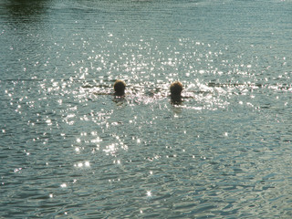 swimming in the lake (shadowgraph)