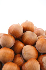 hazelnuts