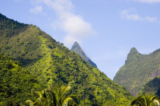 tahitien mountains