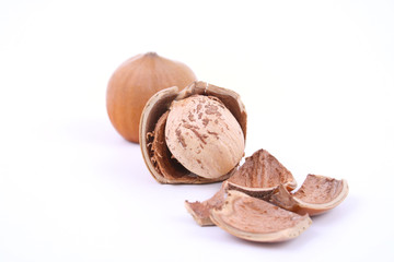 hazelnuts
