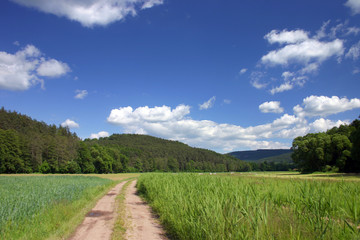 road through the summer countryside