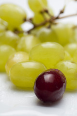 grapes