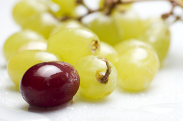 grapes