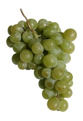 grappe de raisin
