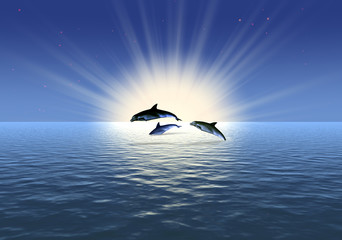 three dolphin