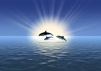 Tuinposter drie dolfijnen © Olga Galushko
