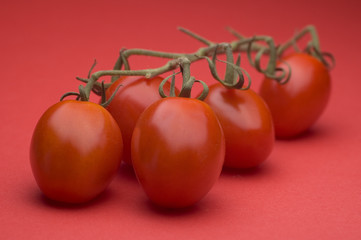 vine ripened plum tomatoes