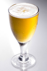 lager beer