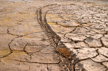 bike tire print on dry mud