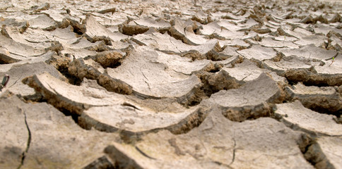 dry mud cracks texture
