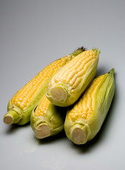 corn on the cob © Reidos
