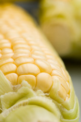 corn on the cob © Reidos