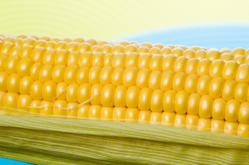 corn on the cob