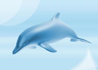Stickers pour porte Dauphins fond de dauphin