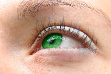 Fototapeta na wymiar zielone oczy